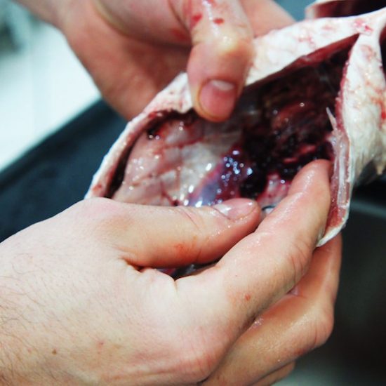 Curso de Chef Básico ICIF